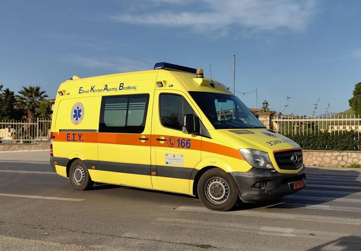 Τσακάλι δάγκωσε στο πρόσωπο 4χρονη και το έσερνε από την πλάτη 2 ekav3007