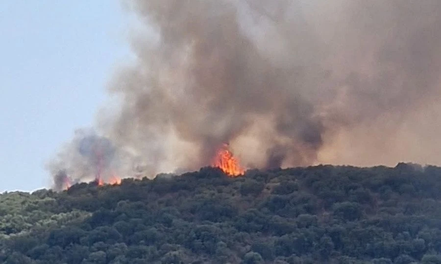 Γιατί η Ελλάδα καίγεται κάθε καλοκαίρι; Οι αιτίες πίσω από το φαινόμενο που επαναλαμβάνεται 5 fotia ageranos gytheio 1 full