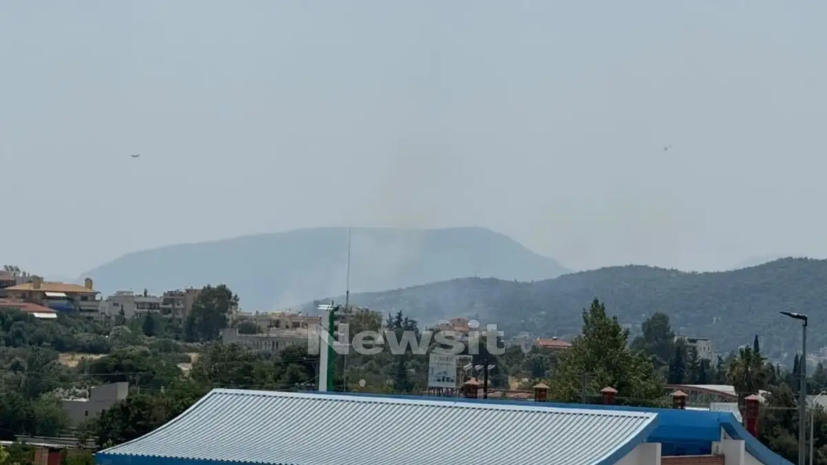 Φωτιά στα Σπάτα κοντά στο κτήμα Νάσιουτζικ 2 fotia spata 1200x675 1