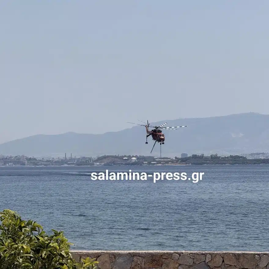 fotia selinia 3