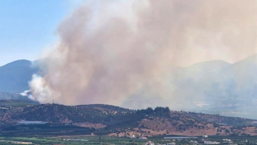 Θήβα: Η πυρκαγιά έφτασε στην Ξηρονομή – Νέα μηνύματα του 112 για απομάκρυνση κατοίκων 2 fwtiaargolida