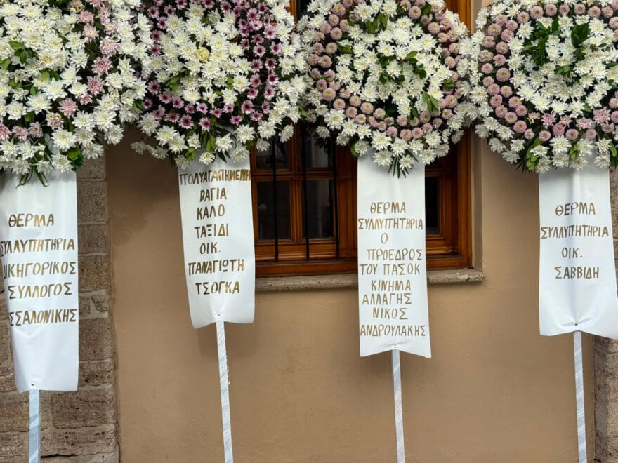 khdeia nestora 4