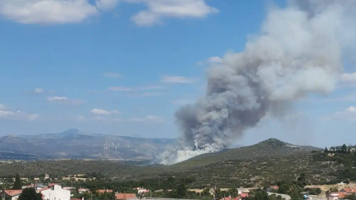 Μεγάλη φωτιά στην Οινόη του Δήμου Μάνδρας - Επιχειρούν εναέρια μέσα 1 oinoi attikis