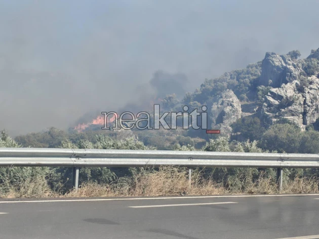 Φωτιά στο Ρέθυμνο: Καίγεται το φοινικόδασος της Πρέβελης 3 preveli 1.jpg
