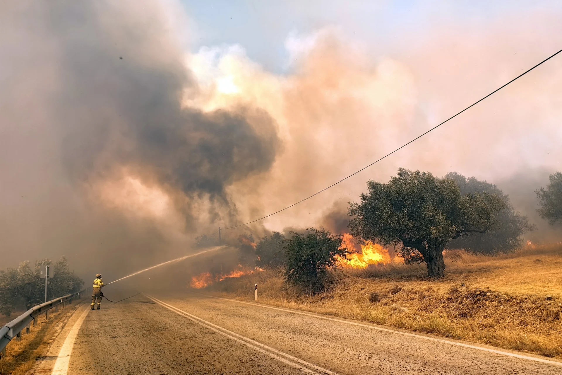 Γιατί η Ελλάδα καίγεται κάθε καλοκαίρι; Οι αιτίες πίσω από το φαινόμενο που επαναλαμβάνεται 1 pyrkagia argolida 1