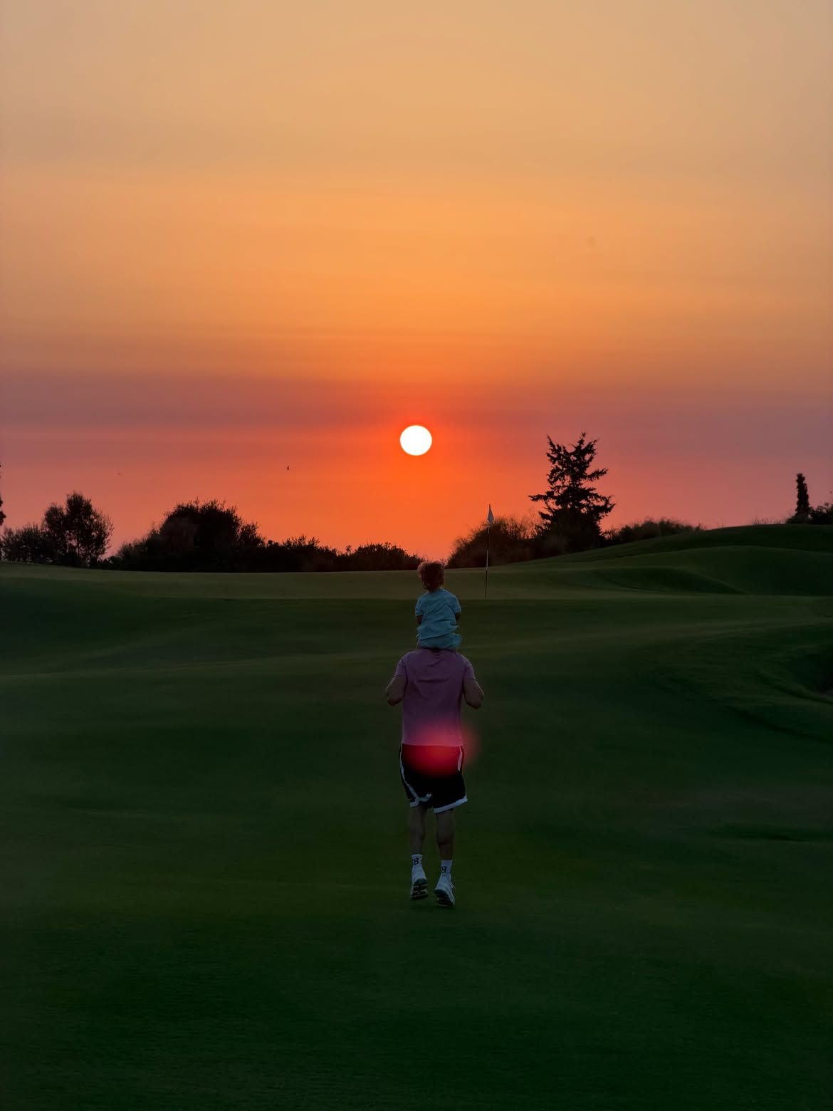 simba d ¦