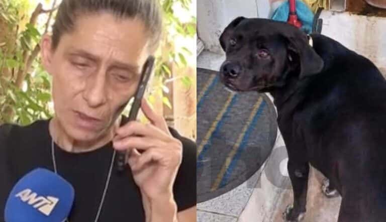 Συγκλονίζει η γυναίκα που o σκύλος της πέθανε στα Πετράλωνα – «Έχασα το μοναδικό μου στήριγμα»