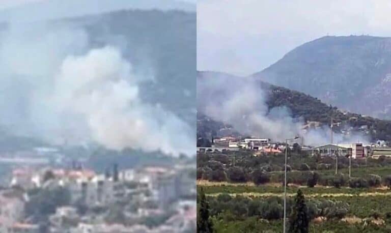 Φωτιά στα Σπάτα κοντά στο κτήμα Νάσιουτζικ