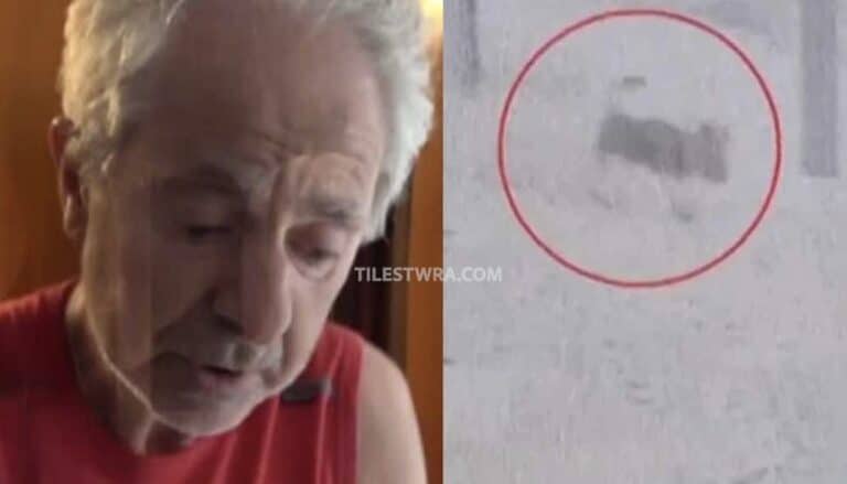 Άγρια επίθεση σκύλου σε 66χρονο στα Βόρεια Προάστια – Τον τραυμάτισε σοβαρά, νεκρό το κατοικίδιο του – «Η ζωή μου όλη ο Μαξ» λέει ο ίδιος