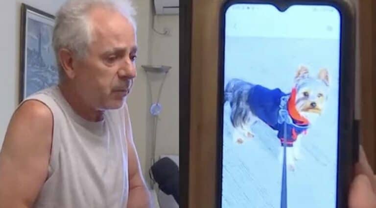 Συγκινεί ο 66χρονος στα Βριλήσσια: «Τι να την κάνω την σύγγνωμη; Εμένα έφυγε το ζωάκι μου; Έφυγε» – Τι δηλώνει η ιδιοκτήτρια του άλλου σκύλου