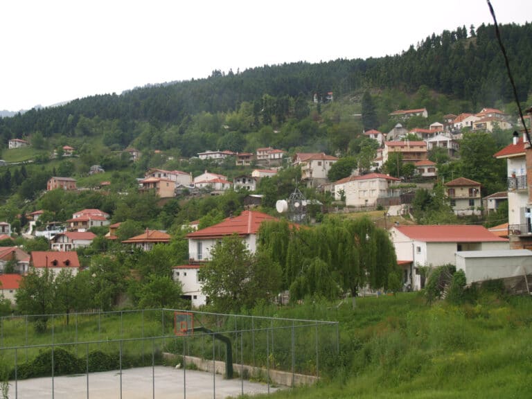 18 8 2026 fotoxrisomilia 768x576 1