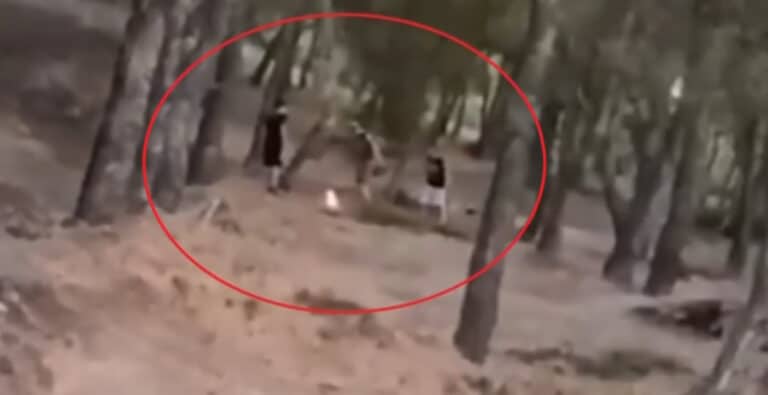 Άνω Βριλήσσια: «Challenge» ανηλίκων μέσα σε δάσος – Βάζουν φωτιά και μετά προσπαθούν να τη σβήσουν