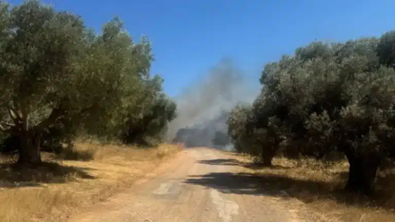 Τραγωδία στη φωτιά στα σύνορα Πικερμίου – Σπάτων: Νεκρό άτομο μέσα σε αυτοκίνητο
