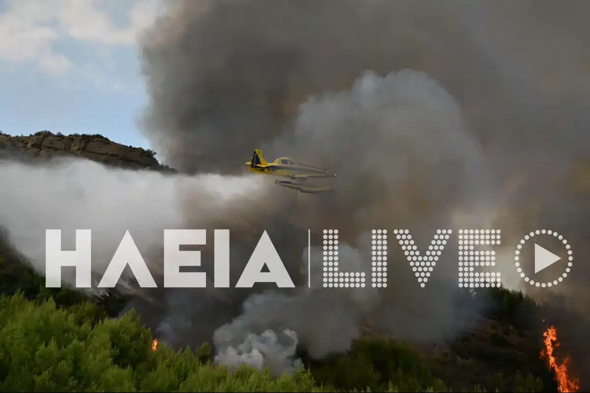 fotia mouzaki aeroplano 1 1