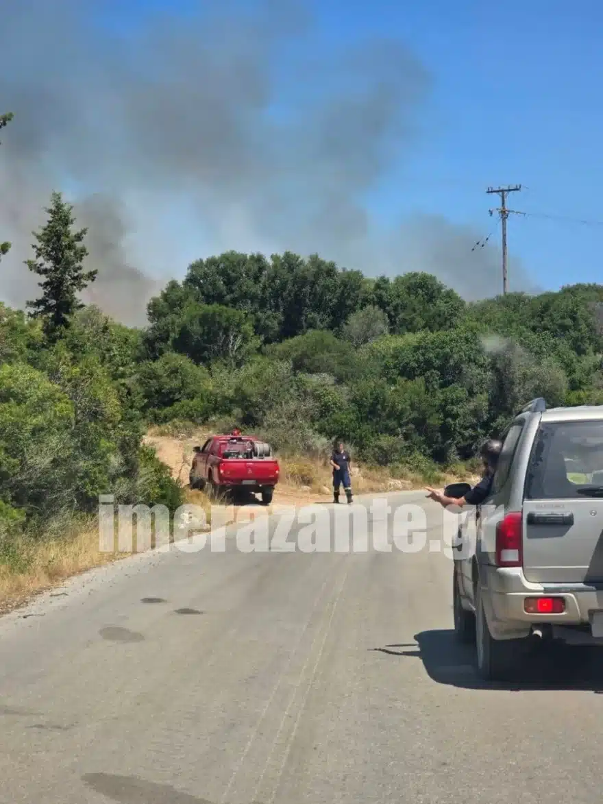 Φωτιά στην Ζάκυνθο στην περιοχή Ελιές - Καίει σε δασική έκταση, ενεργοποιήθηκε το 112 2 fwtia bolimes elies 1
