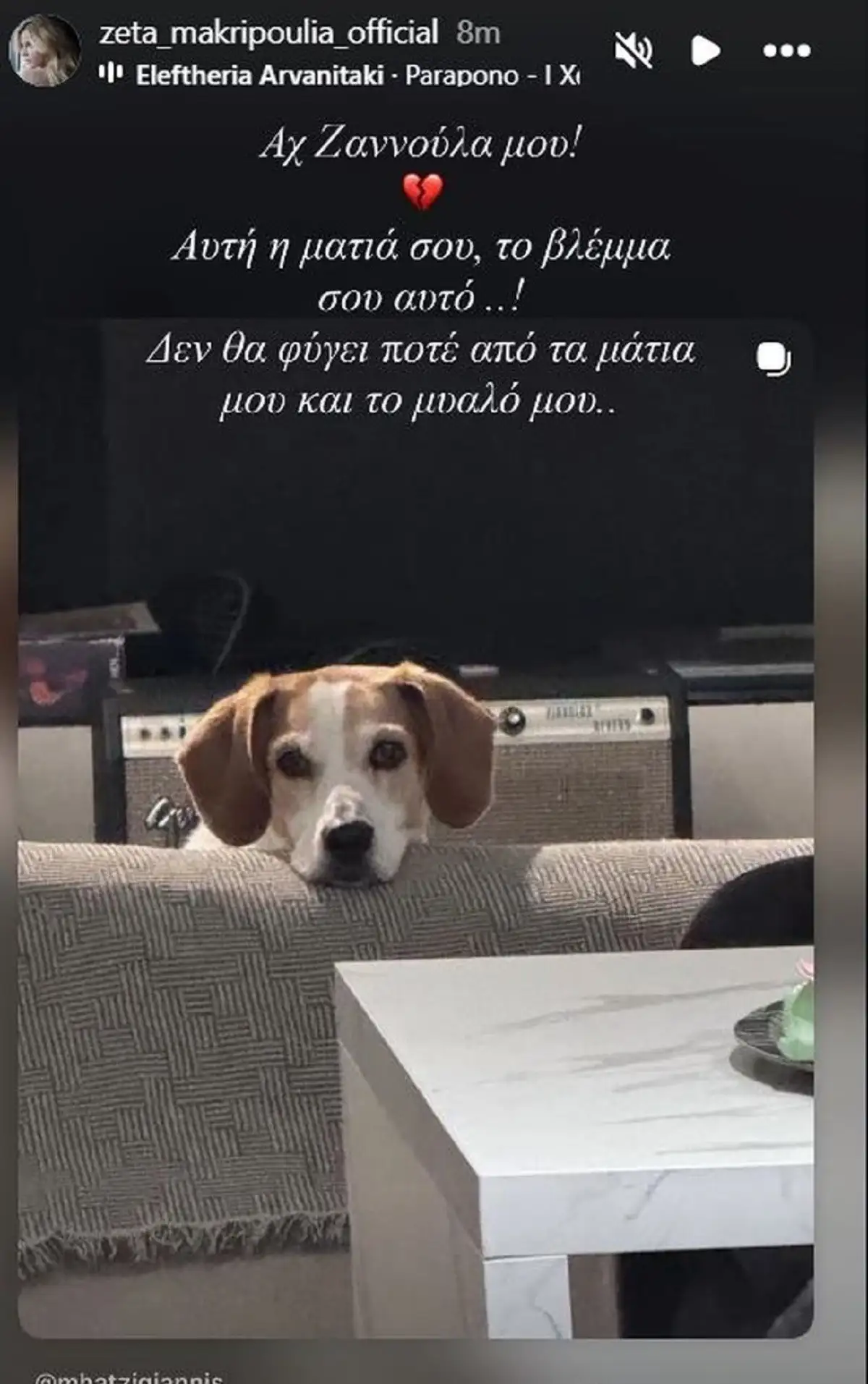 Ζέτα Μακρυπούλια: Το «αντίο» στην τετράποδη φίλη της – «Αχ Ζαννούλα μου» 1 makrypoulia 1 1