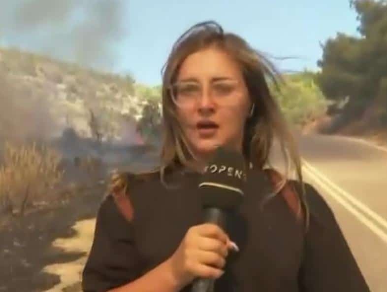reporter open