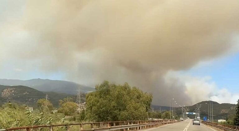 Φωτιά στο Σκάλωμα Φωκίδας – Εντολή για εκκένωση σε επτά οικισμούς, ενισχύθηκαν οι πυροσβεστικές δυνάμεις
