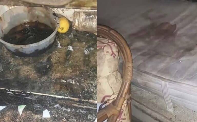 Καλλιθέα: Νοίκιασε ανακαινισμένο σπίτι και το παρέλαβε «υγειονομική βόμβα» – Σοκάρουν οι εικόνες