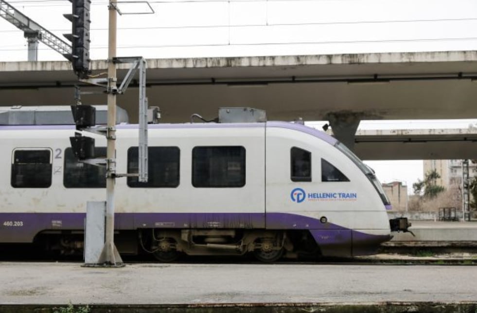 train31 3