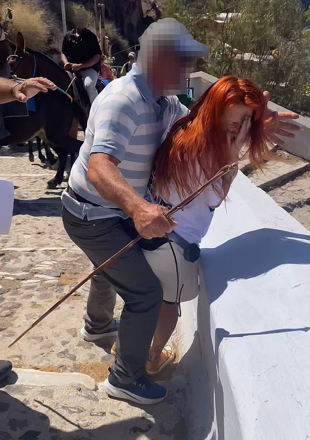 Σοκ στη Σαντορίνη - Χτύπησε ακτιβίστρια κατά τη διάρκεια διαμαρτυρίας για τα γαϊδούρια – Σοκάρει το βίντεο 1 111111717 16113419 image m 5 1788853773884