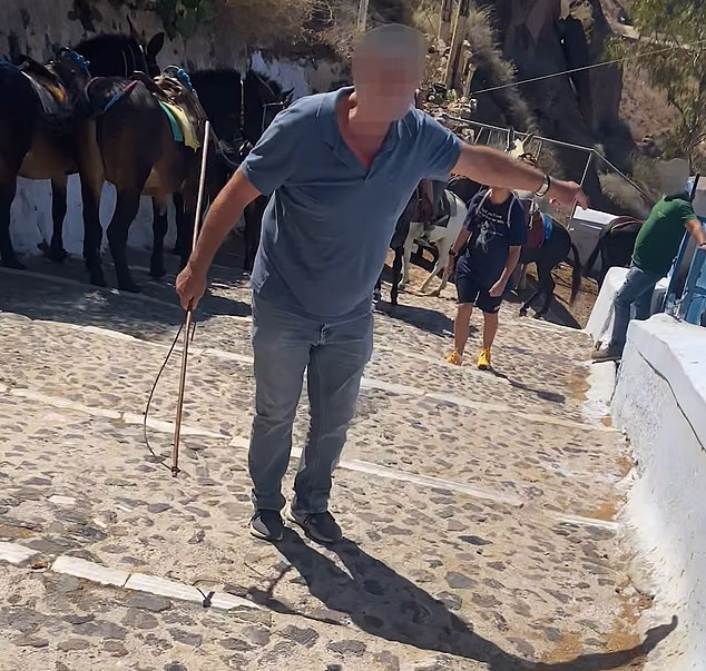 Σοκ στη Σαντορίνη - Χτύπησε ακτιβίστρια κατά τη διάρκεια διαμαρτυρίας για τα γαϊδούρια – Σοκάρει το βίντεο 2 111111719 16113419 video grab shows one of the donkey handlers holding a stick as h m 13 1788854343130