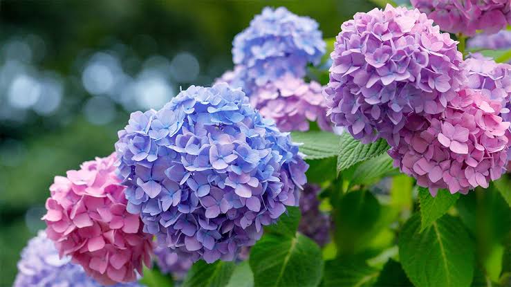 images 9