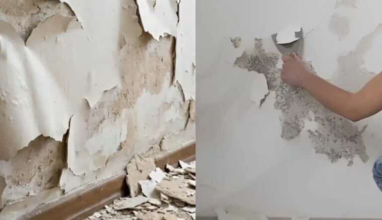 Πώς να αντιμετωπίσετε μουχλιασμένους, φουσκωμένους  ή ξεφλουδισμένους τοίχους χωρίς να προσλάβετε επαγγελματία