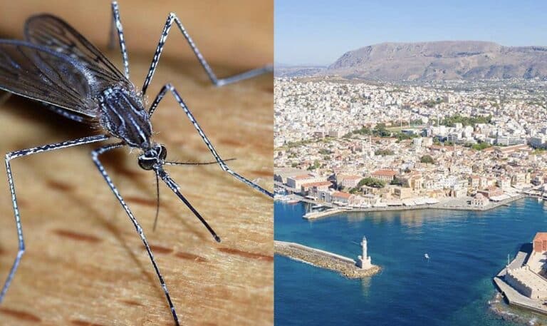 Χανιά: «Καταστράφηκαν οι διακοπές μου» – Τουρίστας ζητά αποζημίωση επειδή τον τσίμπησαν κουνούπια