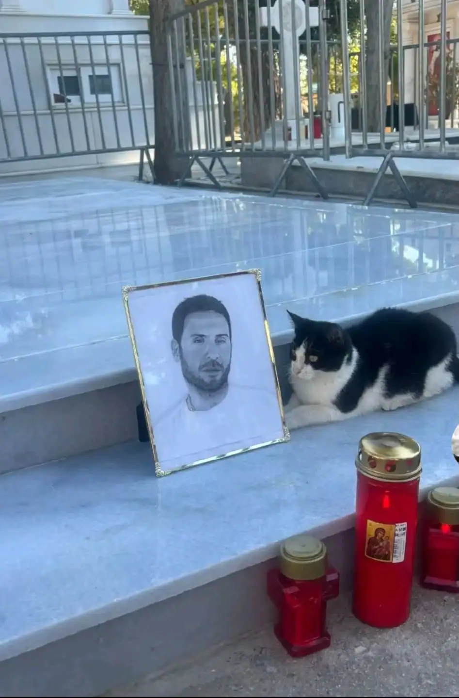 Αδιανόητο και ανατριχιαστικό! Τι έκανε ο μικρός Μάιλο πάνω στον τάφο του Μαζωνάκη – Η στιγμή που πάγωσε τους επισκέπτε 1 hvipj