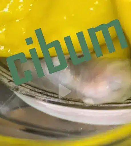 image 26.png