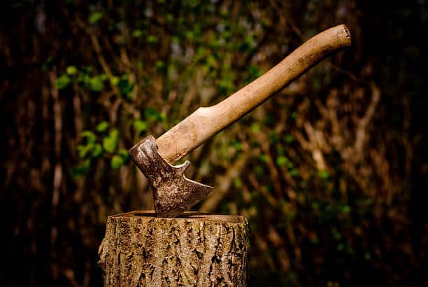 istockphoto 170617091 612x612 1