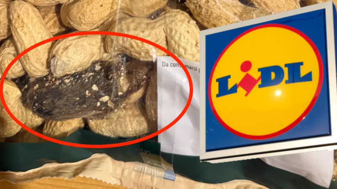 lidl pontiki.png